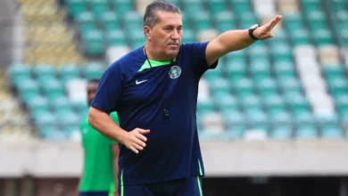 Jose Peseiro - Retour aux Super Eagles