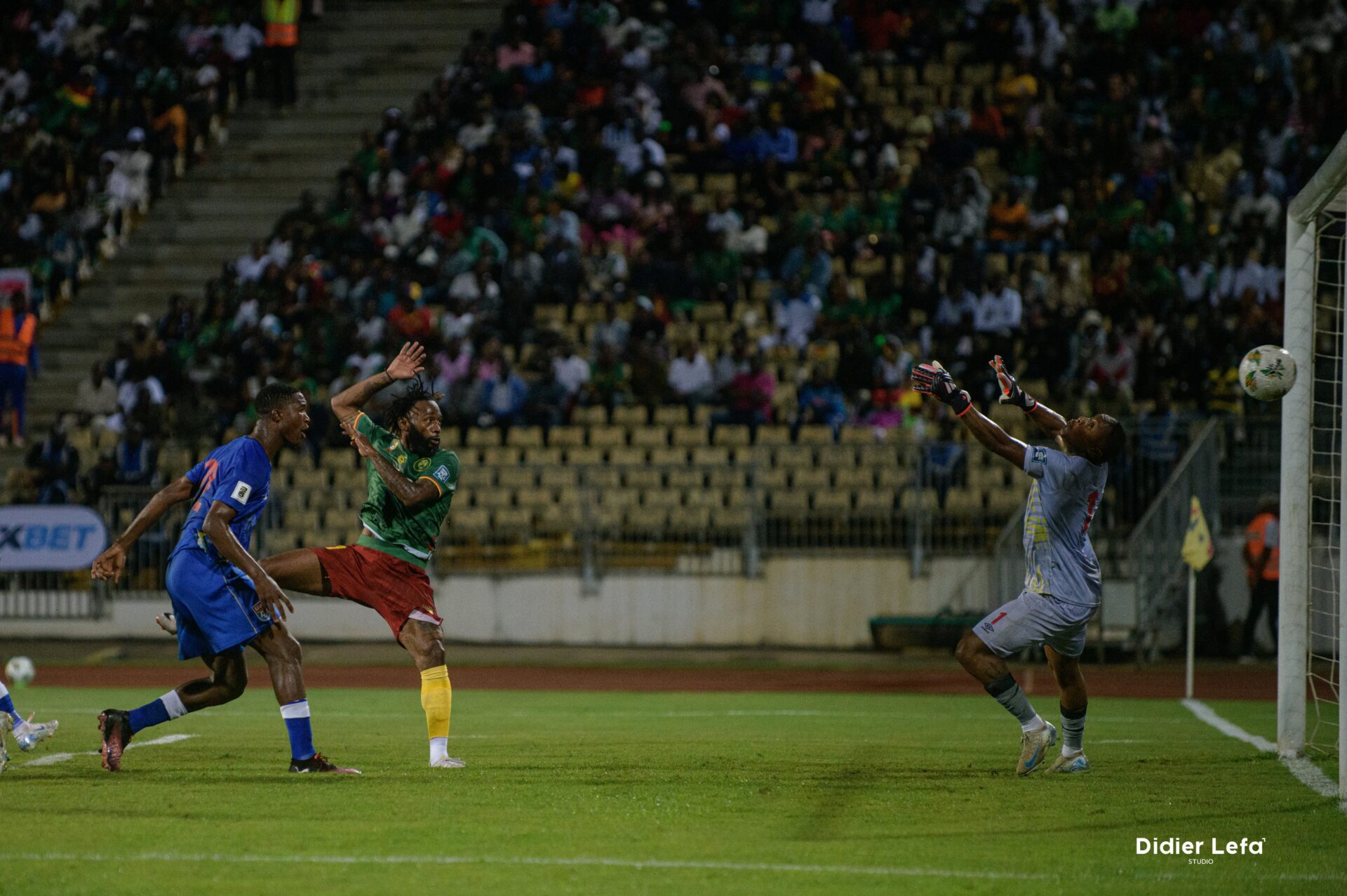 Cameroun Algérie Mali Tunisie route 2026 éliminatoires Coupe du Monde